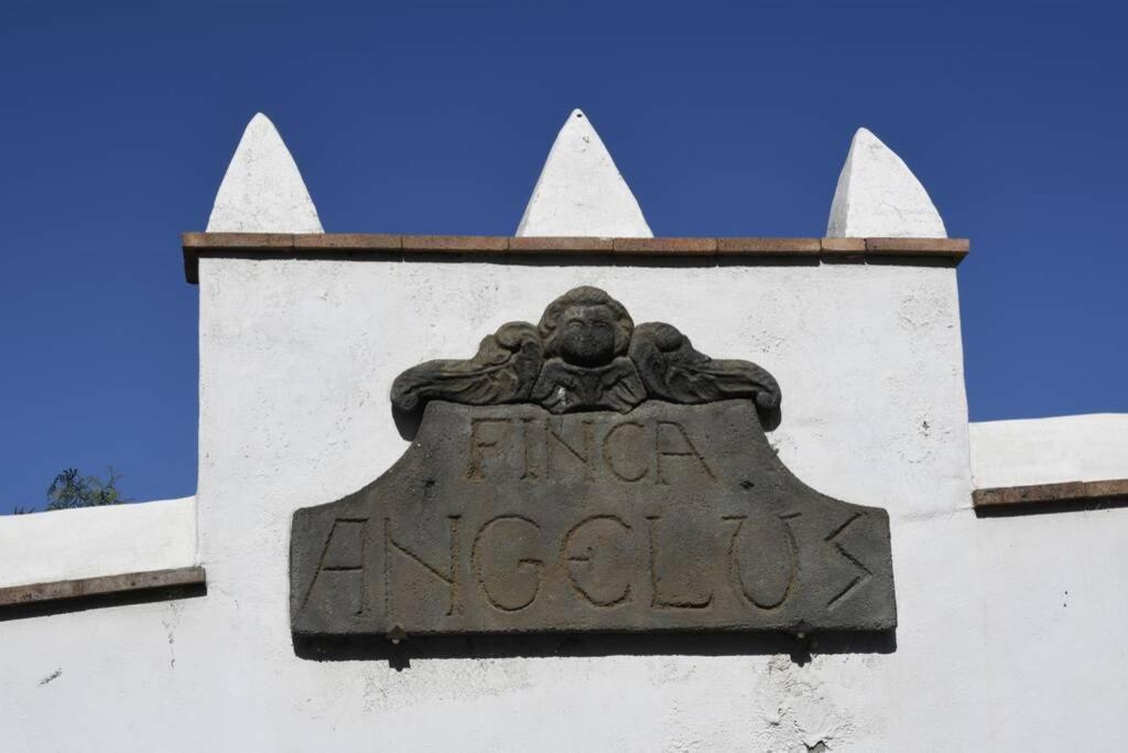 La Matanza De Acentejo Finca Angelus Apartment Syrah With Amazing Views מראה חיצוני תמונה