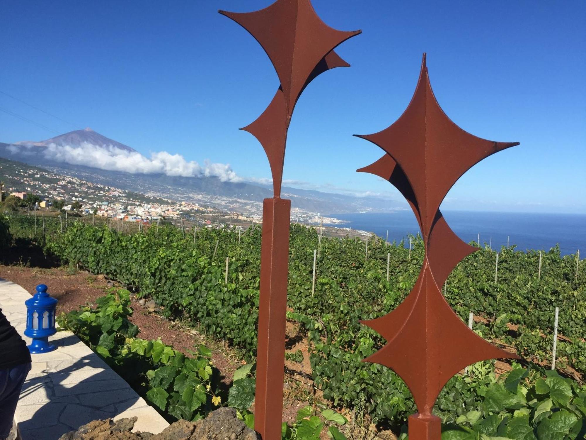 La Matanza De Acentejo Finca Angelus Apartment Syrah With Amazing Views מראה חיצוני תמונה