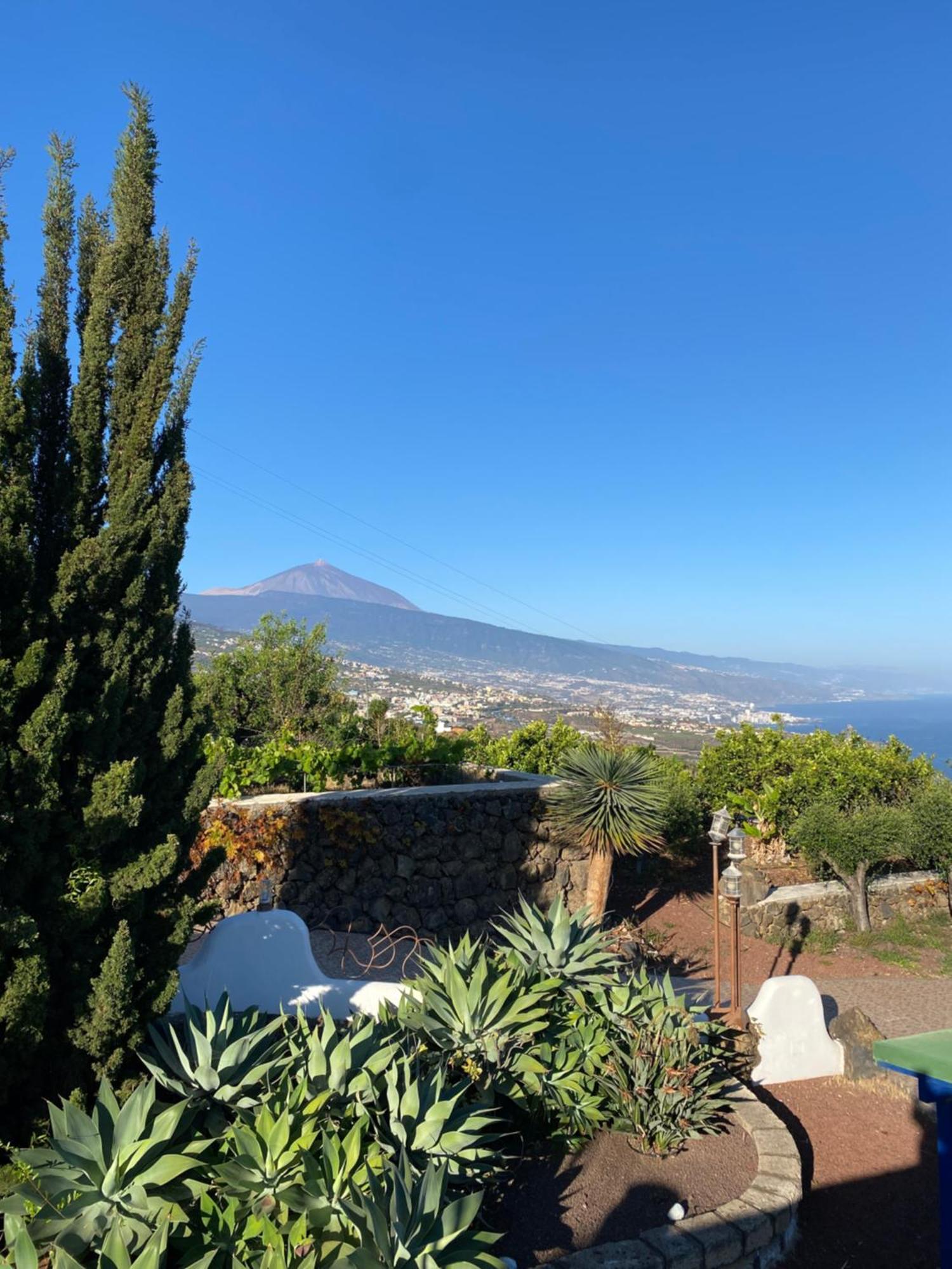 La Matanza De Acentejo Finca Angelus Apartment Syrah With Amazing Views מראה חיצוני תמונה